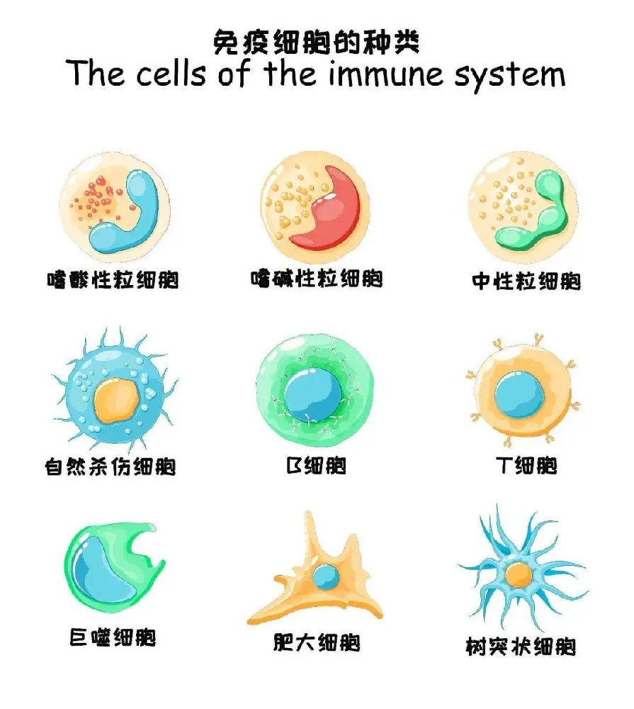 1719994297623197.png 1719994297623197.png