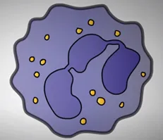 1719997826600015.png 圖片37.png