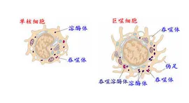 1719997895897105.png 圖片40.png