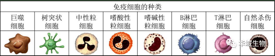 1719998137442114.png 1719998137442114.png