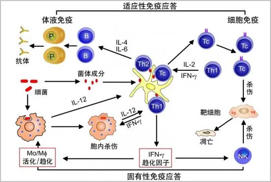 1719999152168197.png 圖片72.png
